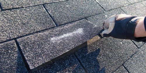 Homeowner inspecting asphalt shingle roof to assess age and condition for insurance coverage